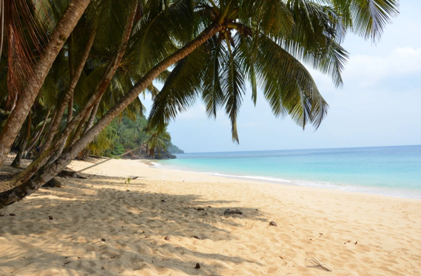 Praia na Reserva da Biosfera na Ilha do Príncipe