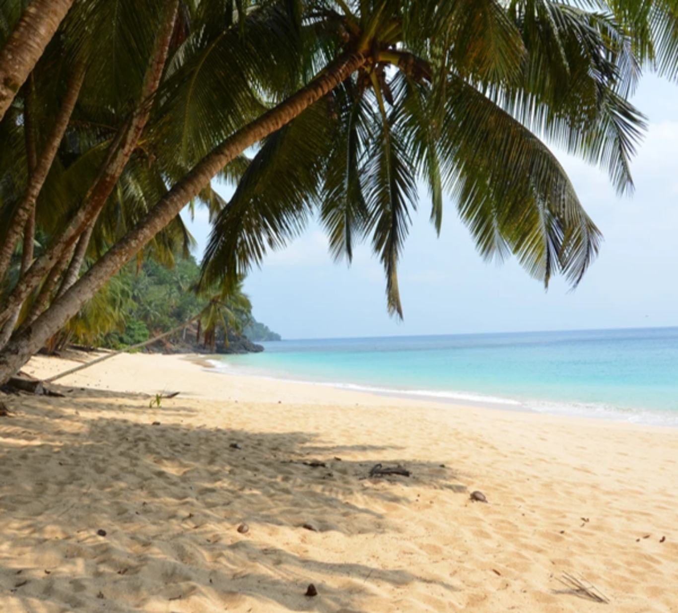 Praia na Reserva da Biosfera na Ilha do Príncipe