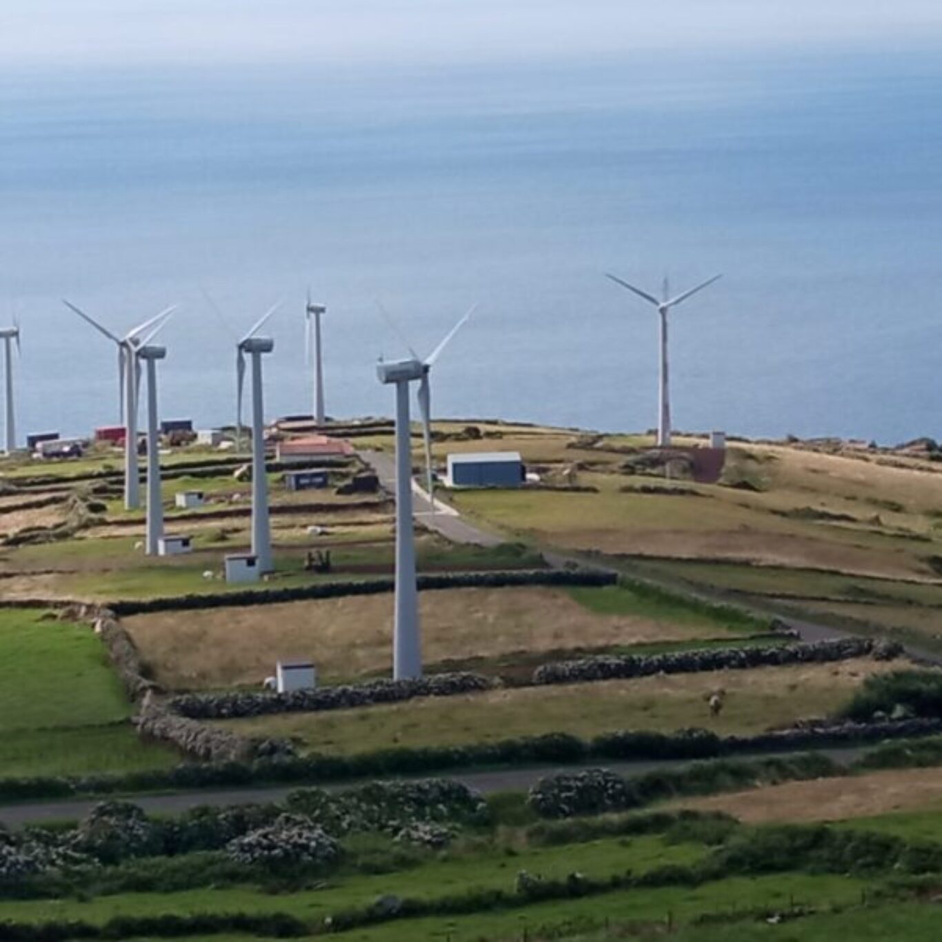 NOVO PARQUE EÓLICO DA ILHA DO CORVO