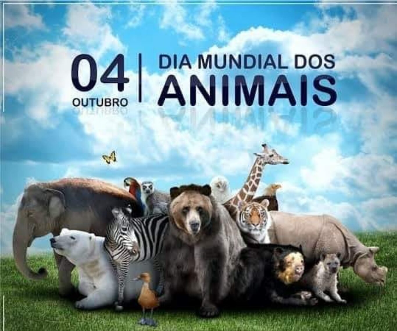 4 DE OUTUBRO – DIA MUNDIAL DOS ANIMAIS